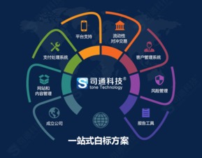 MT4平臺(tái)提供商、購買成本及網(wǎng)站建設(shè)維護(hù)全解析